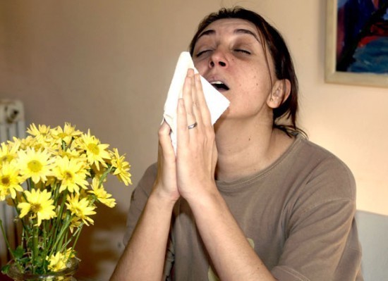 original_gripe_fe.jpg.jpg