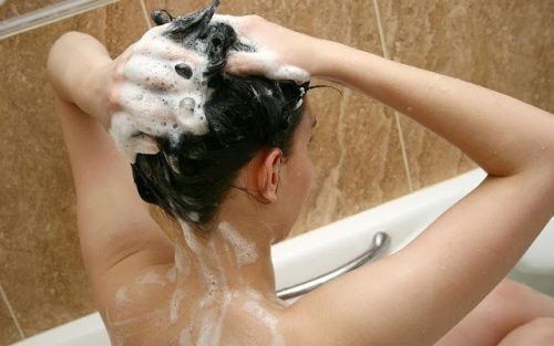 original_ducha.jpg.jpg