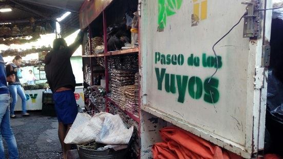 original_paseo.jpg.jpg