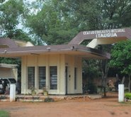 Escapan 10 internos del Centro Educativo Itauguá - Paraguay.com