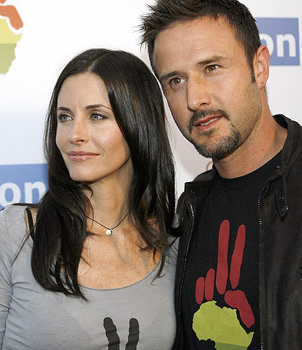 cox arquette