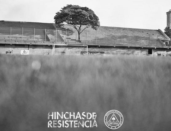 Repercute en el mundo el árbol del Beggan — PARAGUAY Repercute en el mundo el árbol del Beggan — PARAGUAY