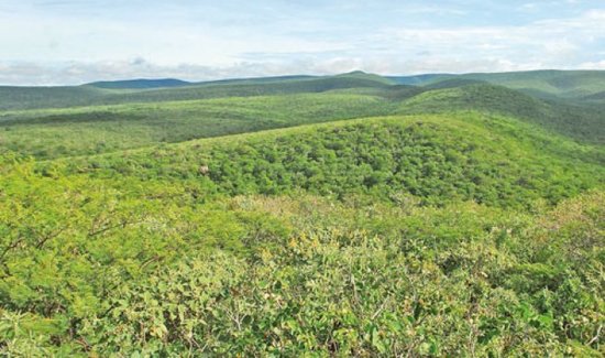 Diamantes en el Cerro Le n Paraguay