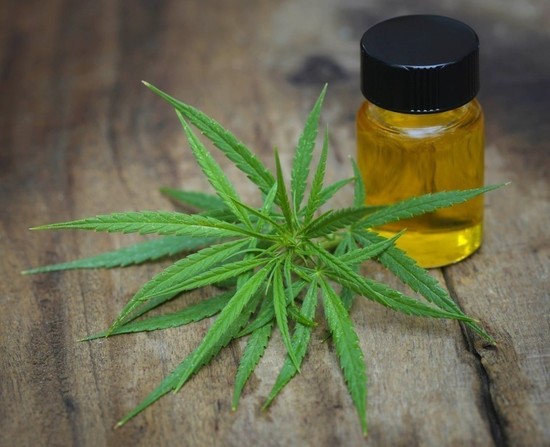 Congreso de Paraguay aprobó uso medicinal de la marihuana