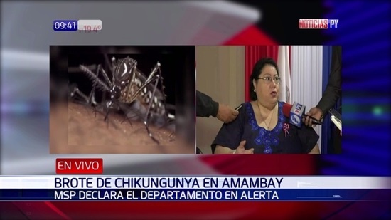 Alerta en departamento paraguayo por chikungunya Alerta en departamento paraguayo por chikungunya